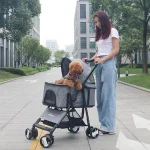 20240917232621 FM 6 720x