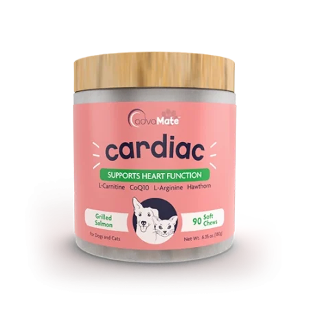 کمل قلب سگ و گربه با فرمول تخصصی برای تقویت عملکرد قلب،