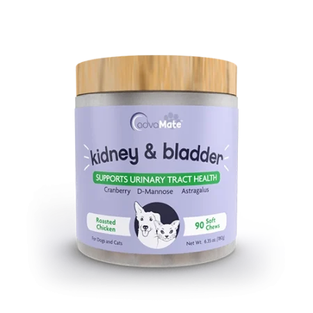 kidney bladder soft chews bottle
